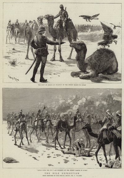 The Nile Expedition by Frederic Villiers